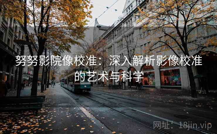 努努影院像校准：深入解析影像校准的艺术与科学