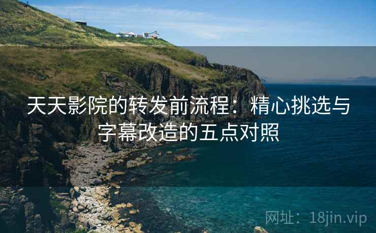 天天影院的转发前流程：精心挑选与字幕改造的五点对照